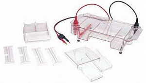 多功能水平电泳槽 HE-120