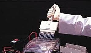 琼脂糖凝胶电泳系统 Agaro-PowerTM