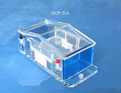 琼脂糖水平电泳仪 DYCP-31A