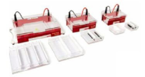 水平电泳槽 Compact X