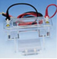 微型水平电泳槽 28559-xx