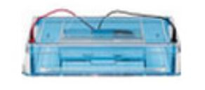 高通量水平电泳槽 28562-00