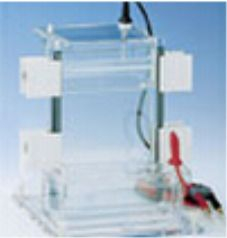 高度可调垂直电泳槽 28570-xx