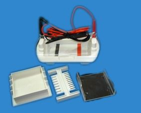 迷你型琼脂糖水平电泳槽 DYCP-II