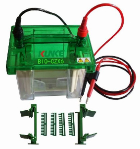 坤科小型垂直电泳槽 BIO-CZX6