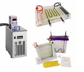 双向电泳系统 IEFPage