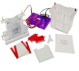 垂直电泳槽 CUS10DSYS-CU