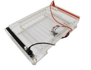 水平电泳槽 Hini364