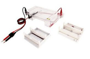 水平电泳槽 HD-3541