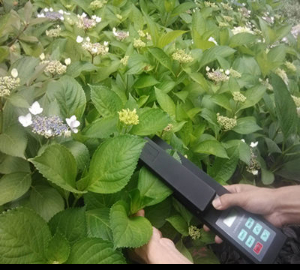 活体叶面积测量仪 YMJ-G