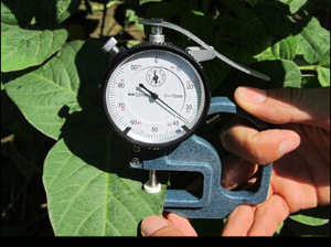 叶片厚度测定仪 HM-S05